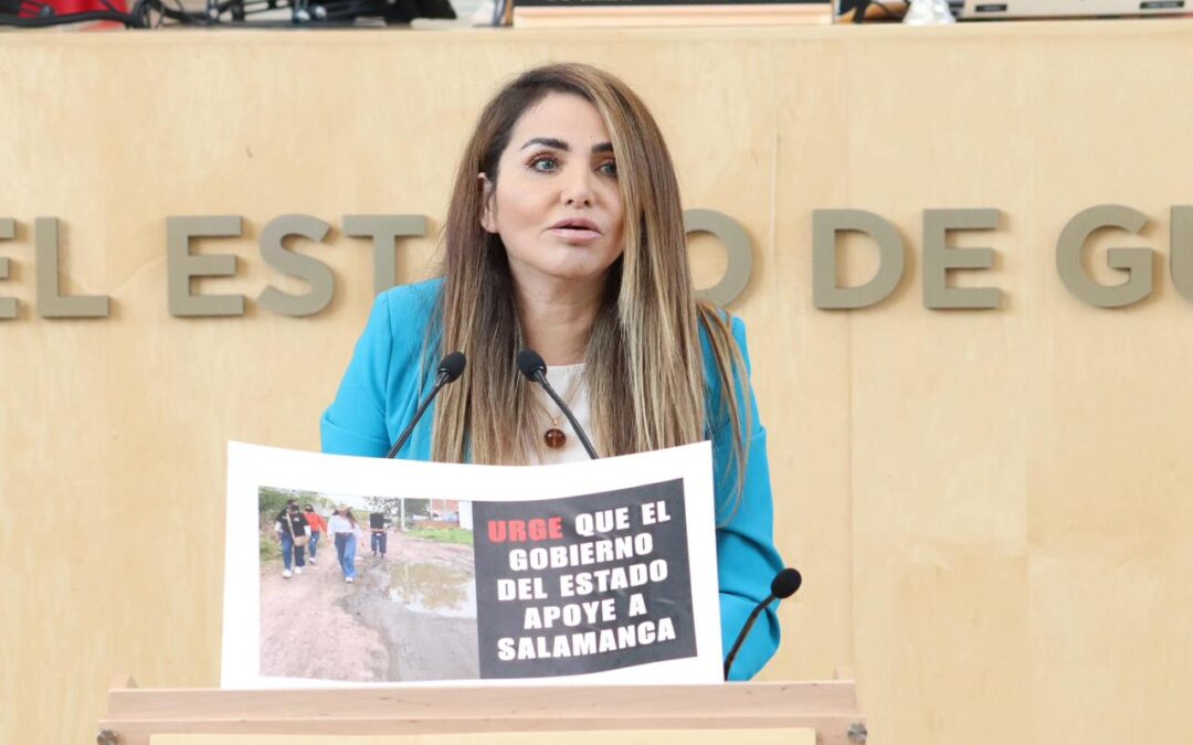 Hades Aguilar exige mayor inversión estatal para pavimentar calles de Salamanca