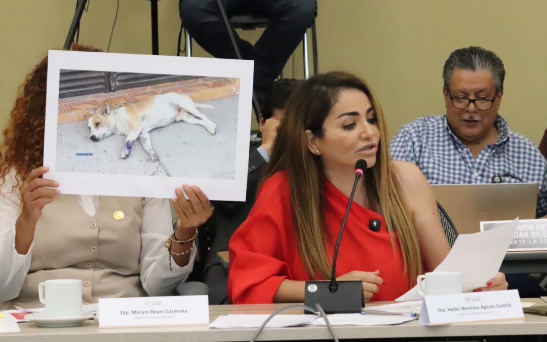 Hades Aguilar impulsa protección animal en Guanajuato